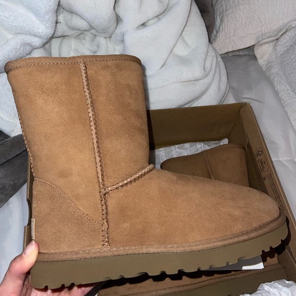 Brand New Chestnut Uggs - Picture 6 of 8